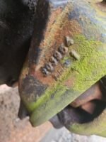 Ziemlich gebrauchte Deutz-Fahr DX4.57 VORDERACHSNABE LHS KOMPLETT 04358295, 04354203, 04386748 - Afbeelding 3